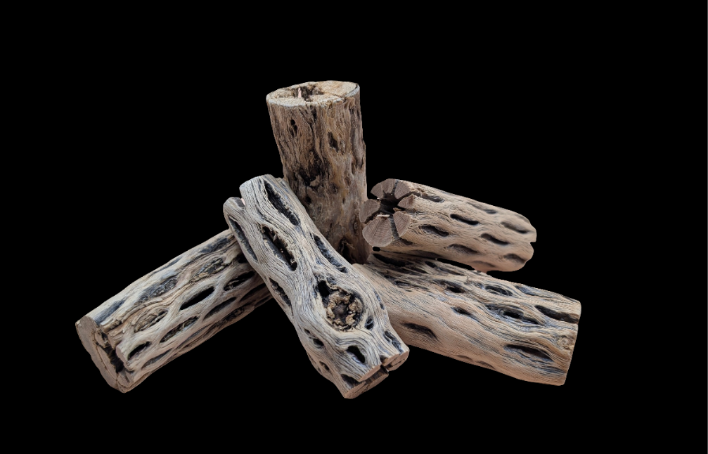 Cholla Wood 3in