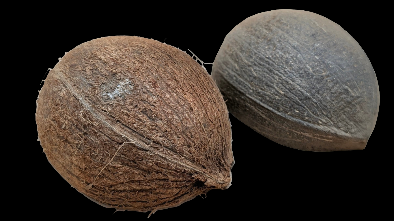 Coconut Shell Half