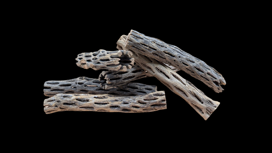 Cholla Wood 6in