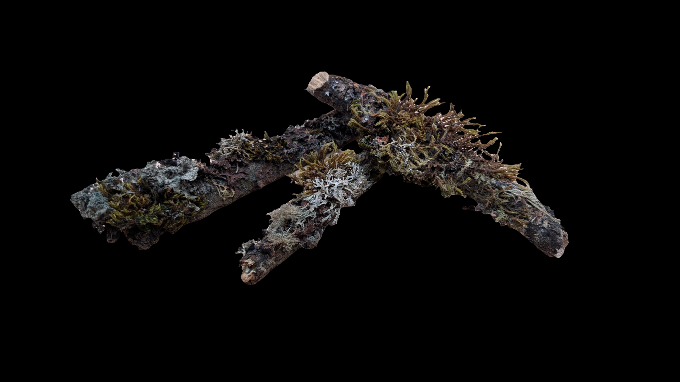 Lichen & Moss Stick