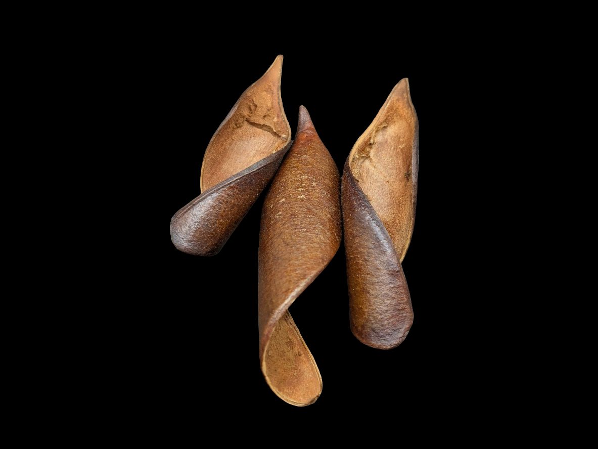 Curved Brownie Pods