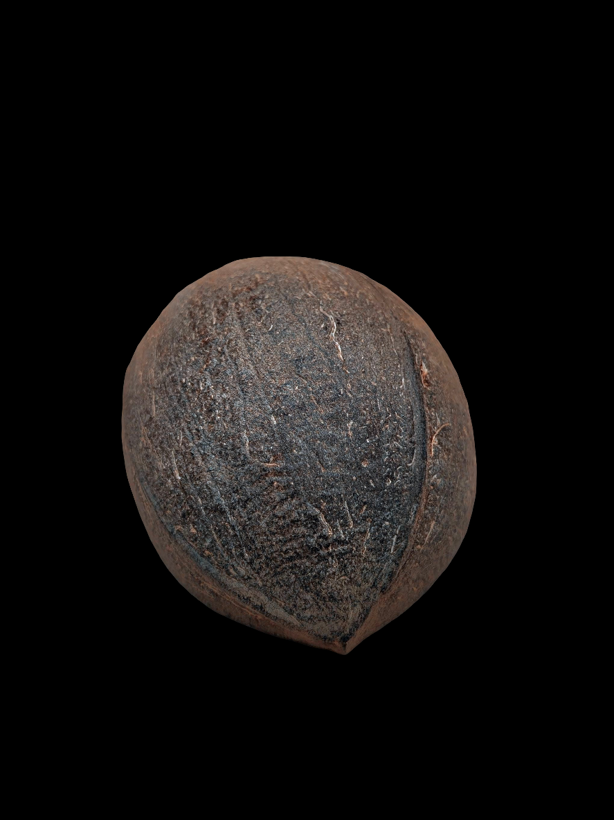Coconut Shell Half