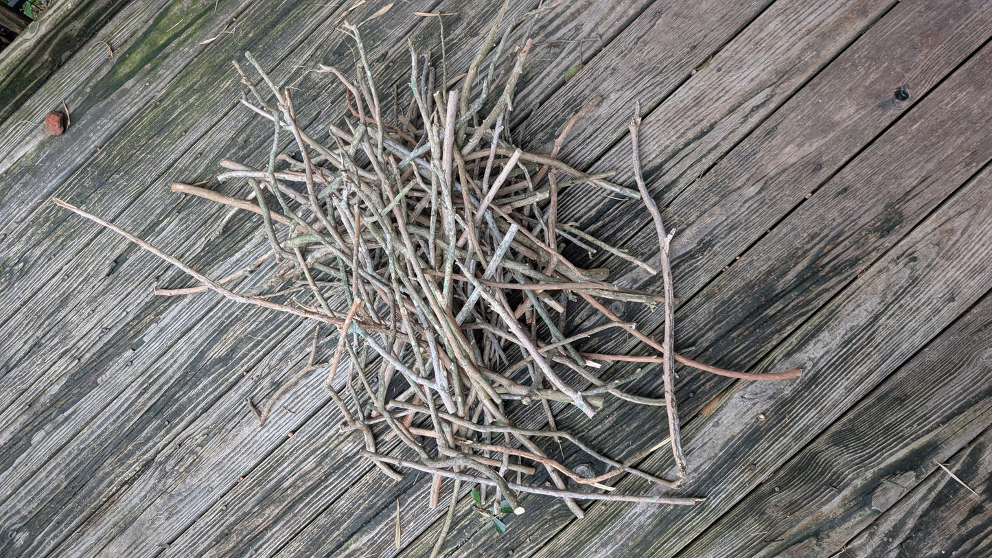 Crepe Myrtle Branches