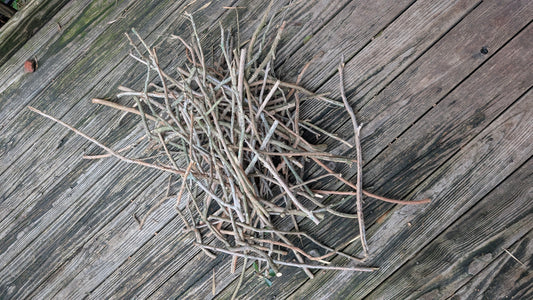 Crepe Myrtle Branches